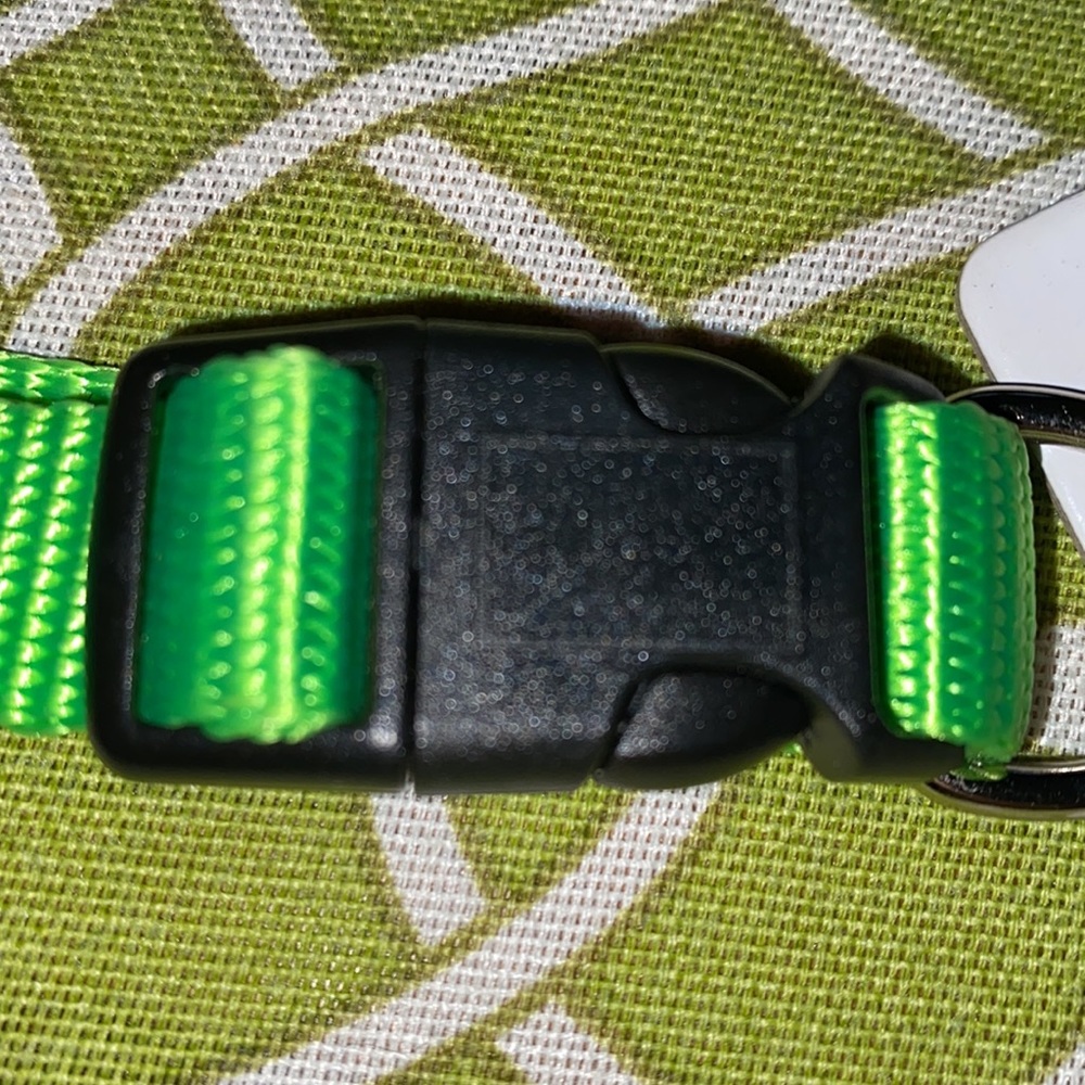 New Meijer medium dog collar - Picture 3 of 6